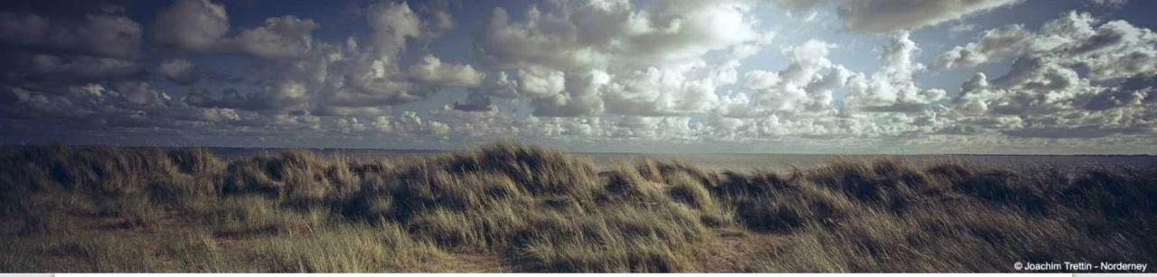 Villa Rosenhof Norderney Ngoại thất bức ảnh