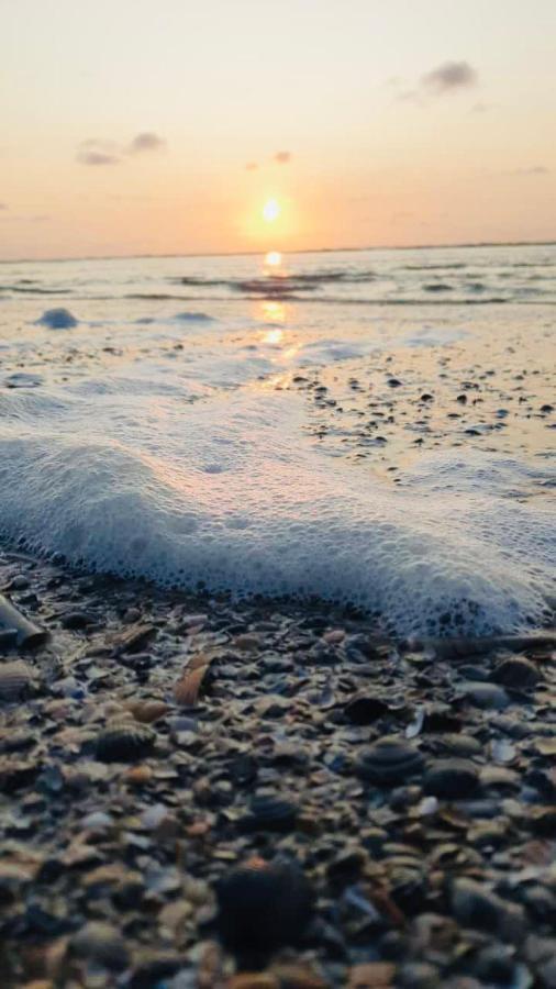 Villa Rosenhof Norderney Ngoại thất bức ảnh